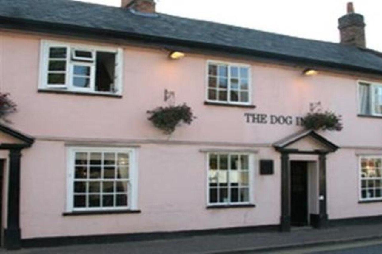 The Dog Inn Halstead  Εξωτερικό φωτογραφία